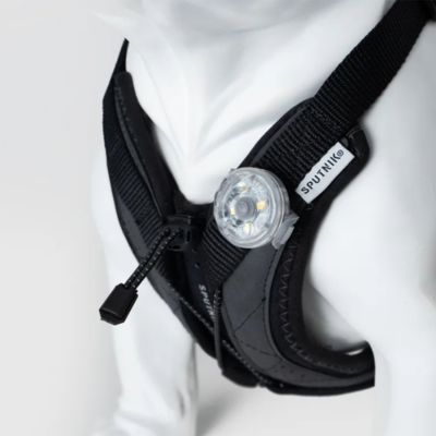 ＜ＳＰＵＴＮＩＫ＞ＵＸ　Ｈａｒｎｅｓｓ　Ｂｌａｃｋ