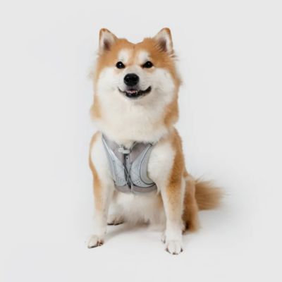 Paddy by WAFONA/パディ バイ ワフォナ ＜ＳＰＵＴＮＩＫ＞ＵＸ　Ｈａｒｎｅｓｓ　Ｇｒａｙ
