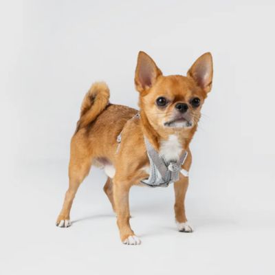 ＜ＳＰＵＴＮＩＫ＞ＵＸ　Ｈａｒｎｅｓｓ　Ｇｒａｙ