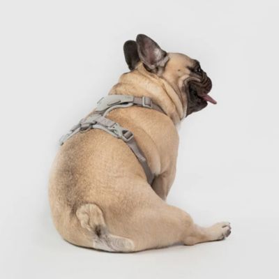 ＜ＳＰＵＴＮＩＫ＞ＵＸ　Ｈａｒｎｅｓｓ　Ｇｒａｙ