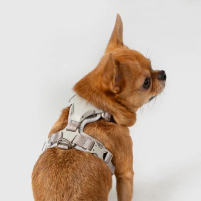 ＜ＳＰＵＴＮＩＫ＞ＵＸ　Ｈａｒｎｅｓｓ　Ｇｒａｙ