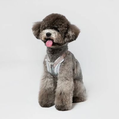 ＜ＳＰＵＴＮＩＫ＞ＵＸ　Ｈａｒｎｅｓｓ　Ｇｒａｙ