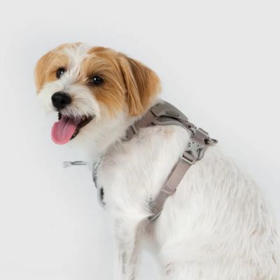 ＜ＳＰＵＴＮＩＫ＞ＵＸ　Ｈａｒｎｅｓｓ　Ｇｒａｙ
