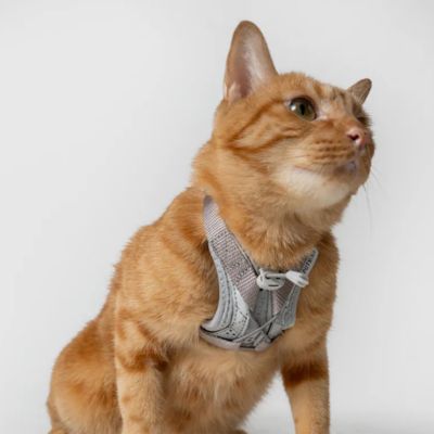 ＜ＳＰＵＴＮＩＫ＞ＵＸ　Ｈａｒｎｅｓｓ　Ｇｒａｙ