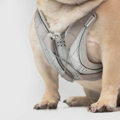 ＜ＳＰＵＴＮＩＫ＞ＵＸ　Ｈａｒｎｅｓｓ　Ｇｒａｙ