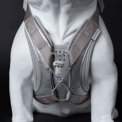 ＜ＳＰＵＴＮＩＫ＞ＵＸ　Ｈａｒｎｅｓｓ　Ｇｒａｙ