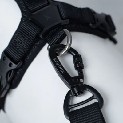 ＜ＳＰＵＴＮＩＫ＞ＵＸ　Ｌｅａｓｈ　Ｂｌａｃｋ