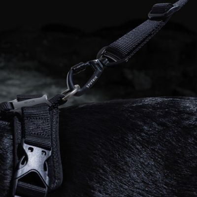 ＜ＳＰＵＴＮＩＫ＞ＵＸ　Ｌｅａｓｈ　Ｂｌａｃｋ