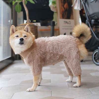 ＜Paddy by WAFONA＞＜ＨＹＧＧＥＬＥ×Ｐａｄｄｙ＞　ＦＥＡＴＨＥＲ　ＹＡＲＮ　ＲＯＭＰＥＲＳ