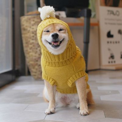 ＜Paddy by WAFONA＞＜ＨＹＧＧＥＬＥ×Ｐａｄｄｙ＞　ＣＡＢＬＥ　ＫＮＩＴ