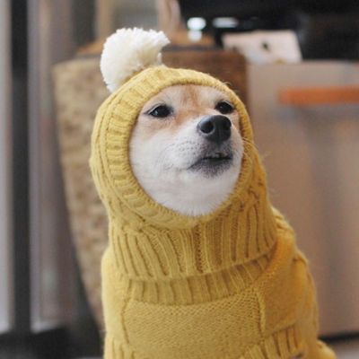 ＜Paddy by WAFONA＞＜ＨＹＧＧＥＬＥ×Ｐａｄｄｙ＞　ＣＡＢＬＥ　ＫＮＩＴ　ＢＡＬＡＣＬＡＶＡ