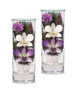 ＜オゼキ＞プリエール　ＳＳＡ　一対入　「蘭」　７９９１Ｎ