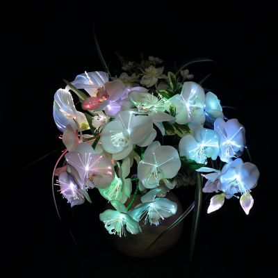 【ＥＣＮｏ．Ｆ－２５】ルミナス・アレンジ胡蝶蘭