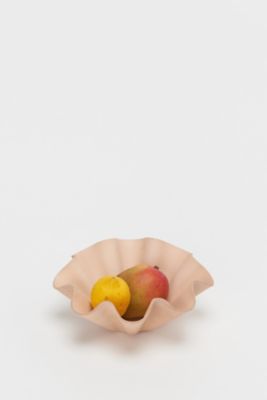 ｓｈｅｌｌ　ｂｏｗｌ　ｂｉｇ　ｎａｔｕｒａｌ　ｂｉｇ