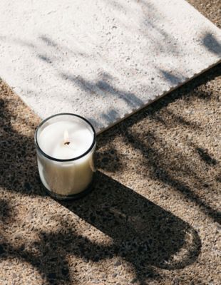 Ｓｃｅｎｔｅｄ　Ｃａｎｄｌｅ－Ｓｕｎｆｌｏｗｅｒ　Ｇａｌａｘｙ