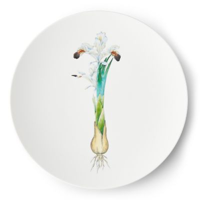 ＜畑萬陶苑＞Ｒｅｓｔａｕｒａｎｔ　ＭＡＩＳＯＮ　（Ｐａｒｉｓ）Ｉｒｉｓ　Φ２９ｃｍ　Ｐｌａｔｅ