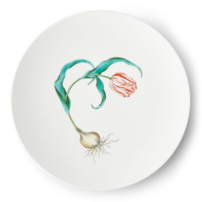 ＜畑萬陶苑＞Ｒｅｓｔａｕｒａｎｔ　ＭＡＩＳＯＮ　（Ｐａｒｉｓ）Ｔｕｌｉｐ　Φ２９ｃｍ　Ｐｌａｔｅ