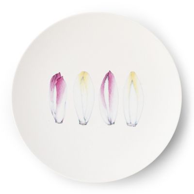 畑萬陶苑/ハタマントウエン Restaurant MAISON (Paris)Chicory Φ29cm Plate