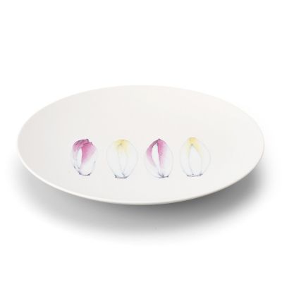 Ｒｅｓｔａｕｒａｎｔ　ＭＡＩＳＯＮ　（Ｐａｒｉｓ）Ｃｈｉｃｏｒｙ　Φ２９ｃｍ　Ｐｌａｔｅ