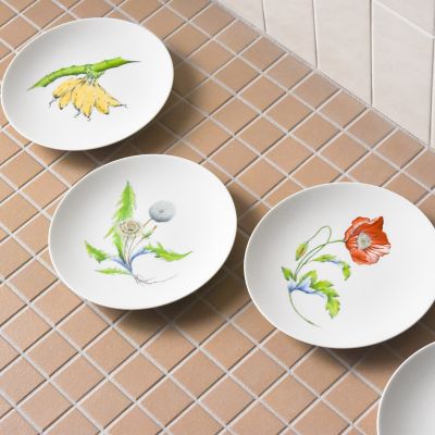 Ｒｅｓｔａｕｒａｎｔ　ＭＡＩＳＯＮ　（Ｐａｒｉｓ）Ｓｈｉｒｌｅｙ　ｐｏｐｐｙ　Φ２３．５ｃｍ　Ｐｌａｔｅ　