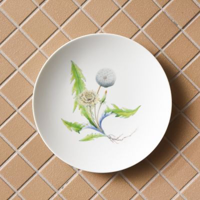 Ｒｅｓｔａｕｒａｎｔ　ＭＡＩＳＯＮ　（Ｐａｒｉｓ）Ｄａｎｄｅｌｉｏｎ　Φ２３．５ｃｍ　Ｐｌａｔｅ