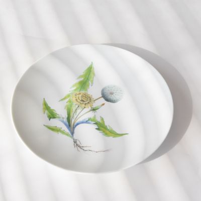 Ｒｅｓｔａｕｒａｎｔ　ＭＡＩＳＯＮ　（Ｐａｒｉｓ）Ｄａｎｄｅｌｉｏｎ　Φ２３．５ｃｍ　Ｐｌａｔｅ