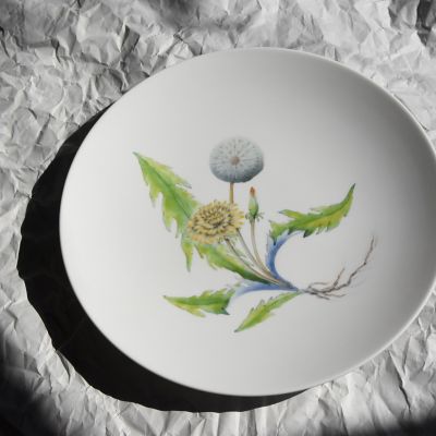 Ｒｅｓｔａｕｒａｎｔ　ＭＡＩＳＯＮ　（Ｐａｒｉｓ）Ｄａｎｄｅｌｉｏｎ　Φ２３．５ｃｍ　Ｐｌａｔｅ