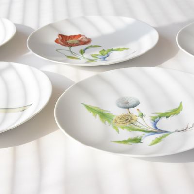 Ｒｅｓｔａｕｒａｎｔ　ＭＡＩＳＯＮ　（Ｐａｒｉｓ）Ｄａｎｄｅｌｉｏｎ　Φ２３．５ｃｍ　Ｐｌａｔｅ
