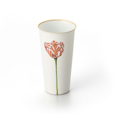 Ｔｕｍｂｌｅｒ　－　Ｔｕｌｉｐ　Ｇｏｌｄ　－