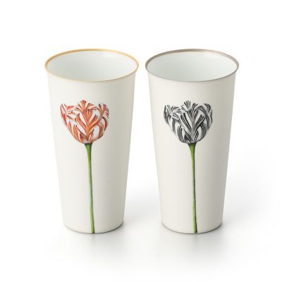 Ｔｕｍｂｌｅｒ　－　Ｔｕｌｉｐ　Ｇｏｌｄ　－