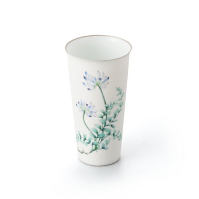 Ｔｕｍｂｌｅｒ　－　Ａｓｔｒａｇａｌｕｓ　Ｓｉｎｉｃｕｓ　ｓｉｌｖｅｒ　－