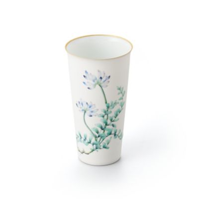 Ｔｕｍｂｌｅｒ　－　Ａｓｔｒａｇａｌｕｓ　Ｓｉｎｉｃｕｓ　Ｇｏｌｄ　－