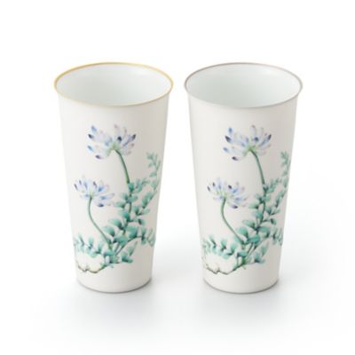 Ｔｕｍｂｌｅｒ　－　Ａｓｔｒａｇａｌｕｓ　Ｓｉｎｉｃｕｓ　ｓｉｌｖｅｒ　－