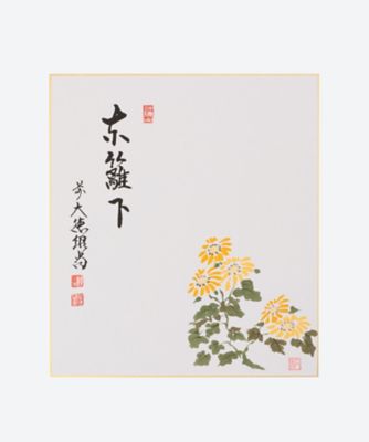 ＜橋本紹尚師＞画賛色紙　「東籬下」