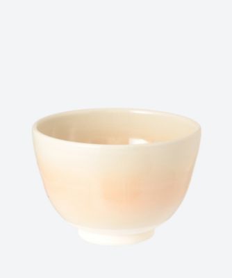 色絵　ポインセチア　茶碗