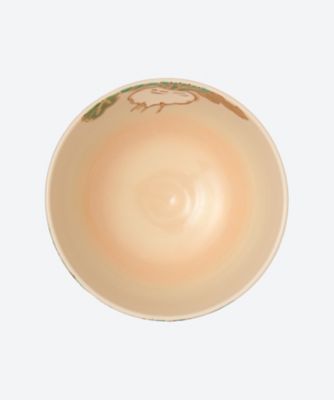 色絵　白蕪　茶碗