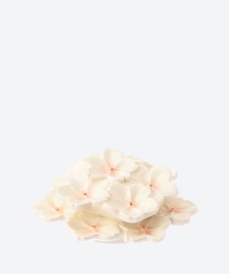 ＜今岡三四郎＞桜　香合