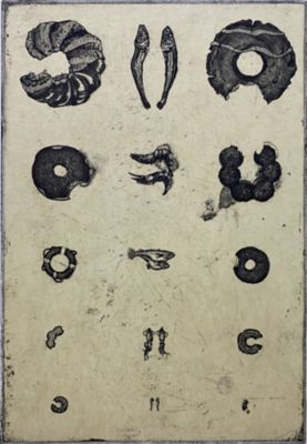 Ｖｉｓｉｏｎ　Ｔｅｓｔ