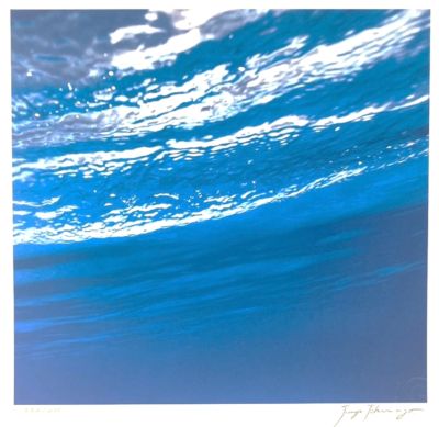 【受注制作】Ｂｕｂｂｉｎｇ　Ｂｌｕｅー躍動