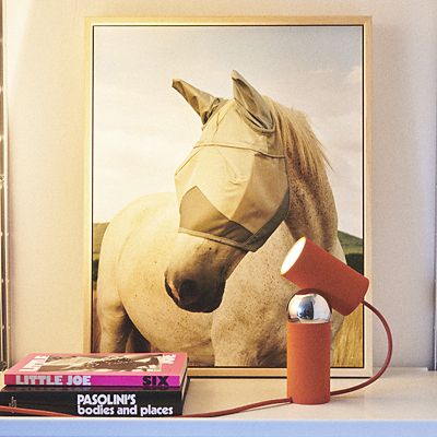 【受注商品】【キャンペーン特別価格】ビルボケ