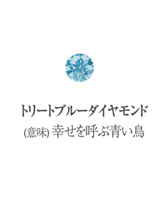 青山なぎさコラボジュエリー２０２３モデル 選べる誕生石ネックレス