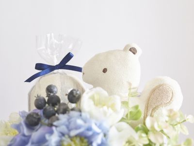 Ｐｌａｉｓｉｒ　プレジール　ダイパーケーキ