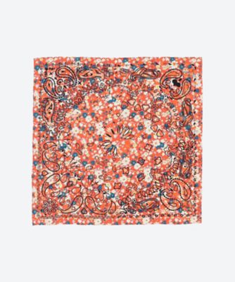 ＴＨＥ　ＰＩＸＩＥ　ＰＥＴＴ　ＦＯＵＬＡＲＤ