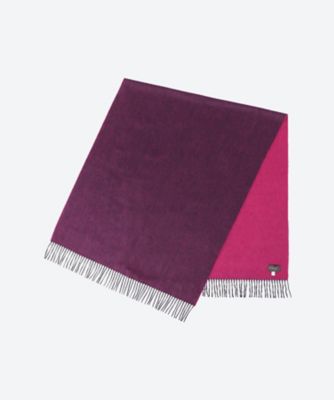 Ａｒｒａｎ　Ｓｅｍｉ　Ｒｅｖｅｒｓｉｂｌｅ　Ｓｔｏｌｅ