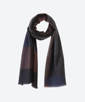 Ｂｒｏｄｉｃｋ　Ｂｉｃｋｅｒ　Ｓｔｏｌｅ