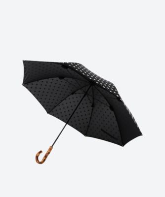ＵＭＢＲＥＬＬＡ　ＢＡＭＢＯＯ　ＬＩＴＥ
