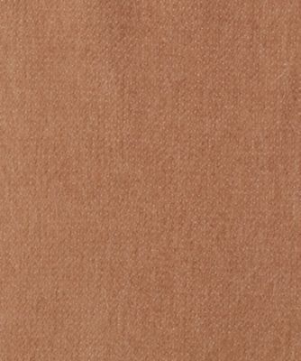 Ｌａｒｇｅ　Ｂｒｕｓｈｅｄ　Ｓｔｏｌｅ