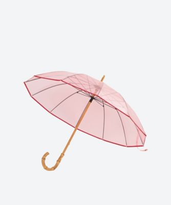 ＣＬＥＡＲ　ＵＭＢＲＥＬＬＡ　ＢＡＭＢＯＯ