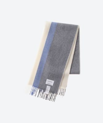 Brushed Scole Stripe | THE INOUE BROTHERS/ザ