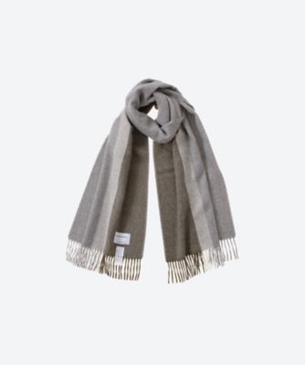 Brushed Scole Stripe | THE INOUE BROTHERS/ザ